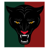 Jaguar black panther gift idea