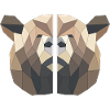 brown bear