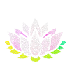 Nénuphar