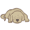 Sleeping dog