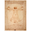 Leonardo da Vinci humain