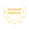 BORDER TERRIER Geschenkidee Shirt