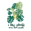 LikeMonstera