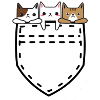 Cats in a bag