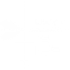 Dart