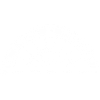 Dart