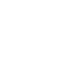 Bicycle white