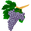 Grapes