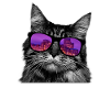 Katze Sonnenbrille Kätzchen Stadt Geschenkidee