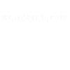 Academician in Saxon