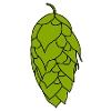 hop cone
