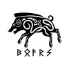 Nordic Rune Vikings