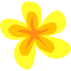 Hawaii-Blume 5