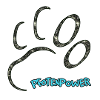 Logo top 1534864920606