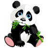panda