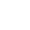 Audiophile Amplifier