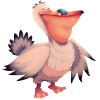 Pelican illustration