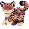 Jaguar illustration