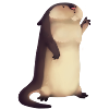 Otter illustration