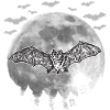 Fledermaus