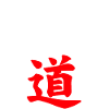 Judo Design Shirt