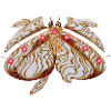 Le papillon albinos