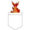 Fish in bag