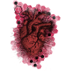 Bleeding Heart