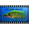 Wilder Hecht