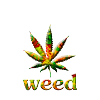 Weed