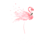 Flamingo Love Flamazing Gift