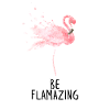 Flamingo Tropical Flamazing Gift
