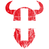 Drapeau viking suisse