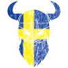 Sweden Viking flag