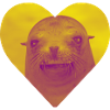 I love seals