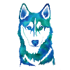 husky