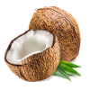 coconut