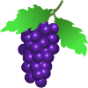 GRAPE GRAPES