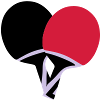 Table tennis, ping pong