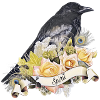 Raven, Crow, Spirit