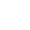 FLIGHT ATTENDANT