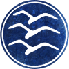 Glider glider icon gift glide