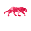 Black Panther Jaguar Cheetah Gift