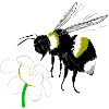 Bumblebee yellow