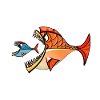 Two piranhas