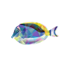 Doktorfisch Muster