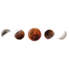 phase de lune
