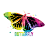 Butterfly caterpillar gift