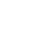 Monte Carlo