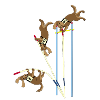 Pole vault